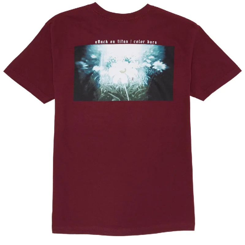 Color Bars x Attack on Titan Ascend T-Shirt - Burgundy